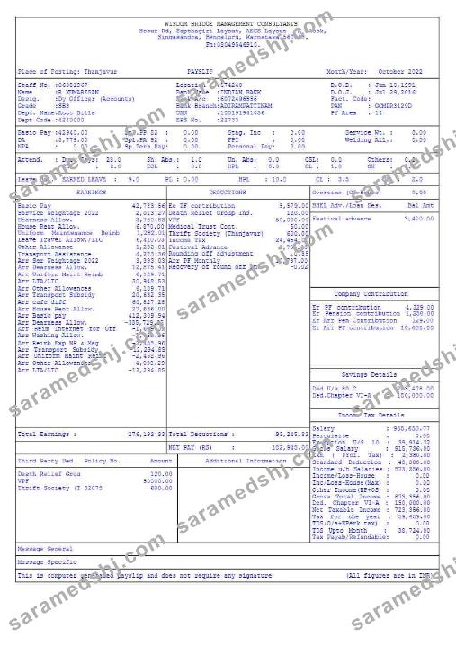 Wisdom Bridge Management Consultants payslip template in Word and PDF formats.pdf, 5